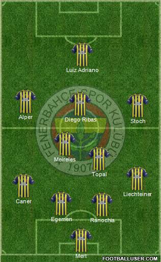 Fenerbahçe SK Formation 2015