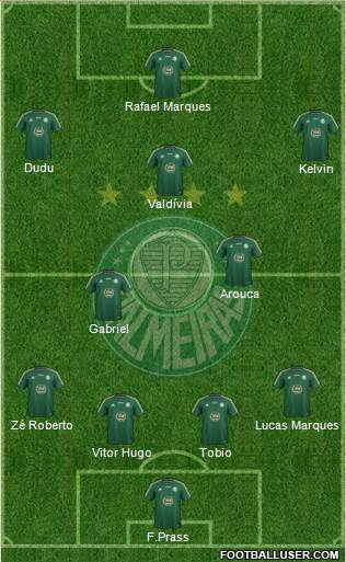 SE Palmeiras Formation 2015