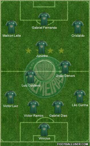SE Palmeiras Formation 2015