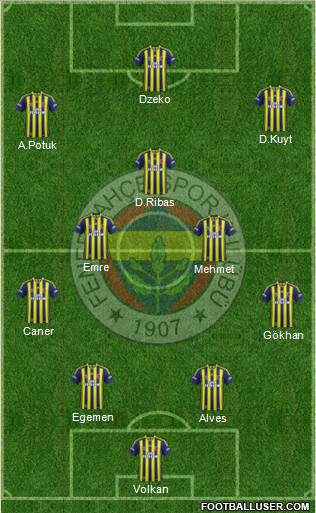 Fenerbahçe SK Formation 2015