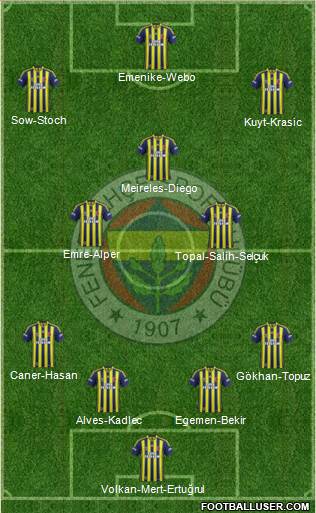 Fenerbahçe SK Formation 2015
