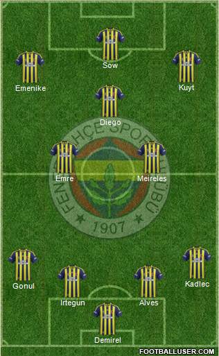 Fenerbahçe SK Formation 2015
