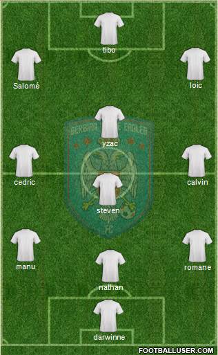 Serbian White Eagles Football Club Formation 2015