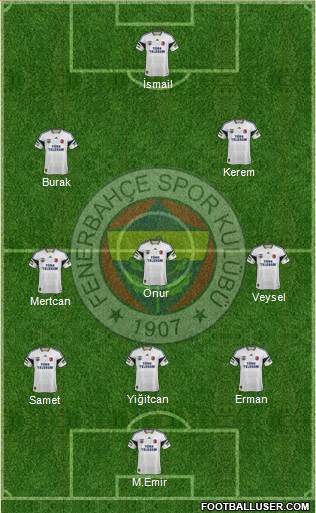 Fenerbahçe SK Formation 2015