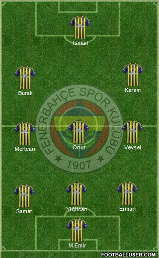 Fenerbahçe SK Formation 2015