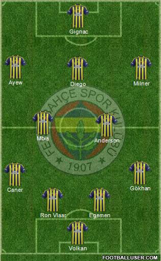 Fenerbahçe SK Formation 2015