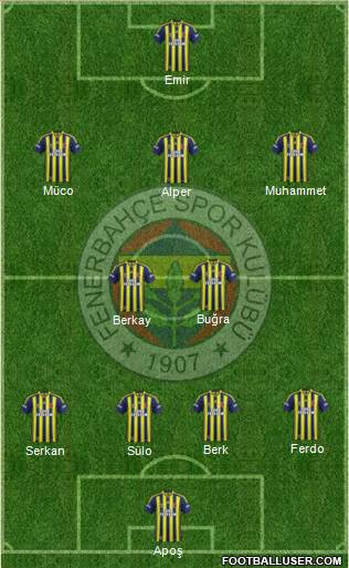 Fenerbahçe SK Formation 2015