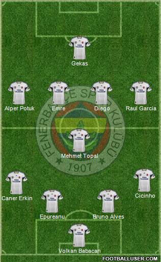 Fenerbahçe SK Formation 2015