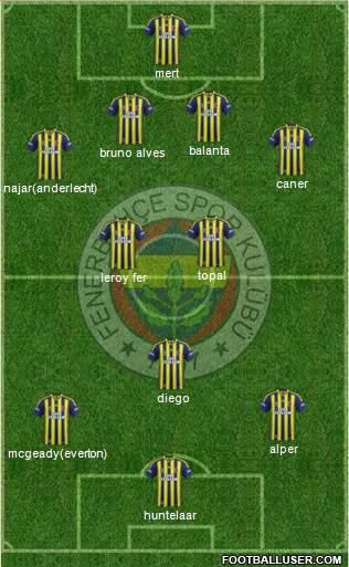Fenerbahçe SK Formation 2015