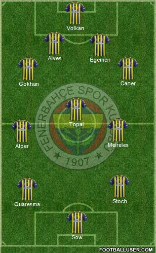 Fenerbahçe SK Formation 2015