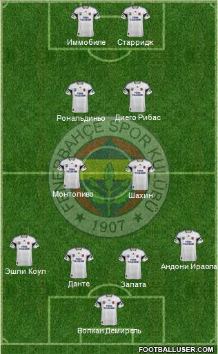 Fenerbahçe SK Formation 2015