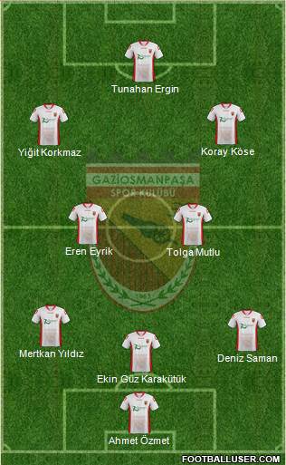 Gaziosmanpasa Formation 2015