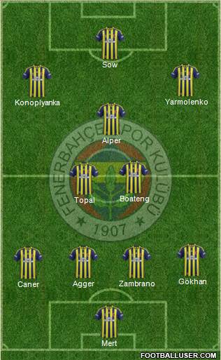 Fenerbahçe SK Formation 2015