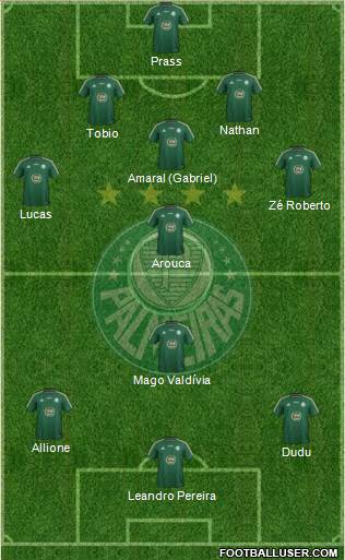 SE Palmeiras Formation 2015
