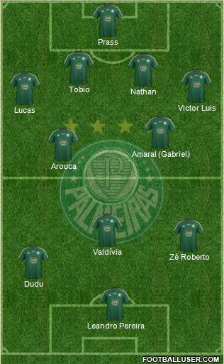 SE Palmeiras Formation 2015