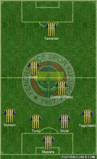 Fenerbahçe SK Formation 2015