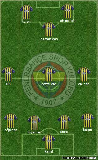 Fenerbahçe SK Formation 2015