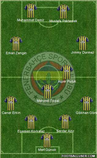Fenerbahçe SK Formation 2015