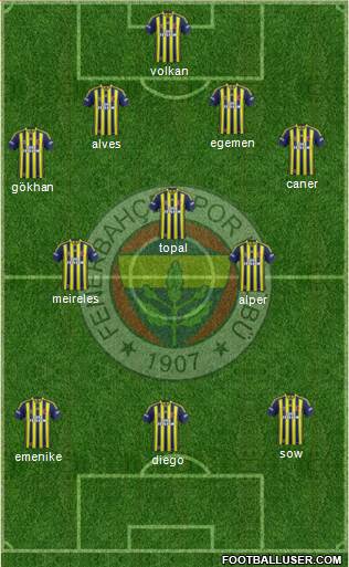 Fenerbahçe SK Formation 2015