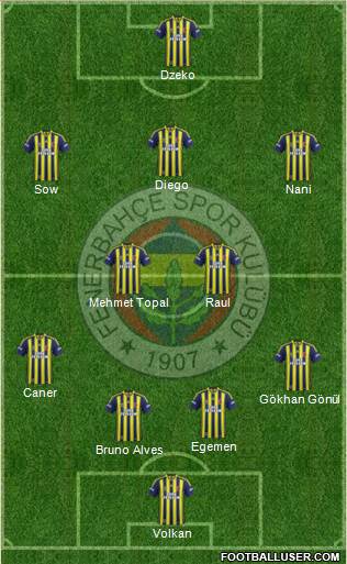 Fenerbahçe SK Formation 2015