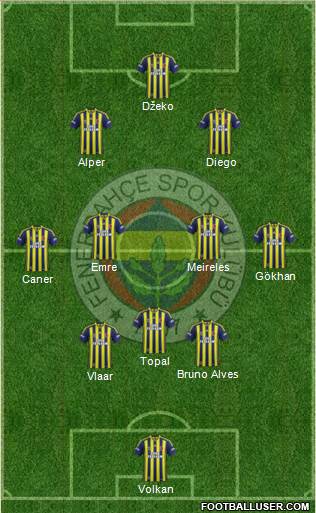 Fenerbahçe SK Formation 2015