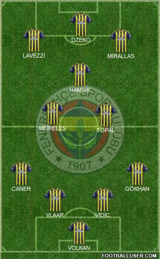 Fenerbahçe SK Formation 2015