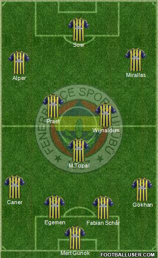 Fenerbahçe SK Formation 2015