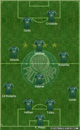 SE Palmeiras Formation 2015
