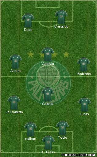 SE Palmeiras Formation 2015