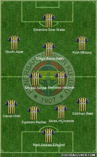 Fenerbahçe SK Formation 2015