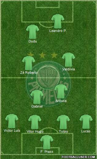 SE Palmeiras Formation 2015
