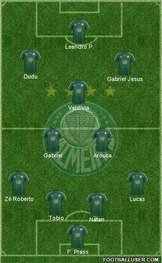 SE Palmeiras Formation 2015