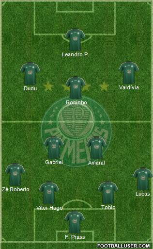 SE Palmeiras Formation 2015