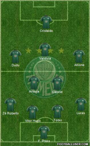 SE Palmeiras Formation 2015