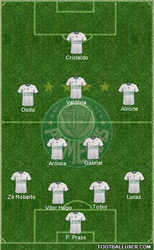 SE Palmeiras Formation 2015