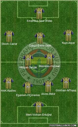 Fenerbahçe SK Formation 2015