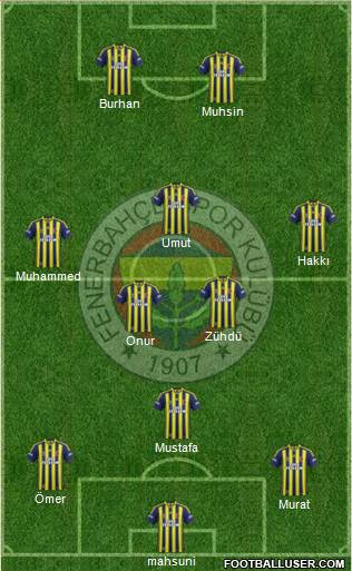 Fenerbahçe SK Formation 2015