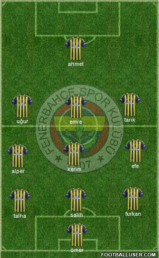 Fenerbahçe SK Formation 2015