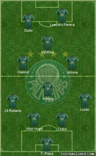 SE Palmeiras Formation 2015