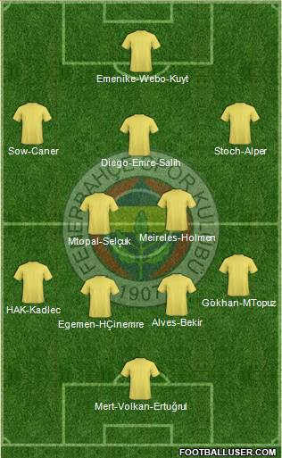 Fenerbahçe SK Formation 2015