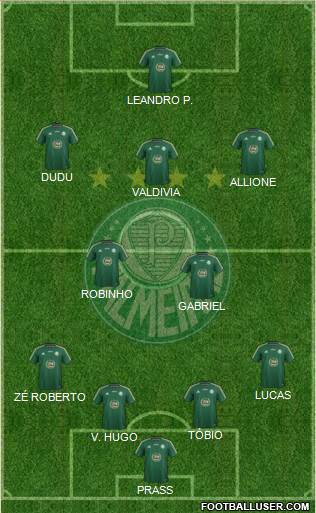 SE Palmeiras Formation 2015