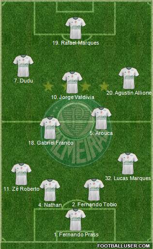 SE Palmeiras Formation 2015