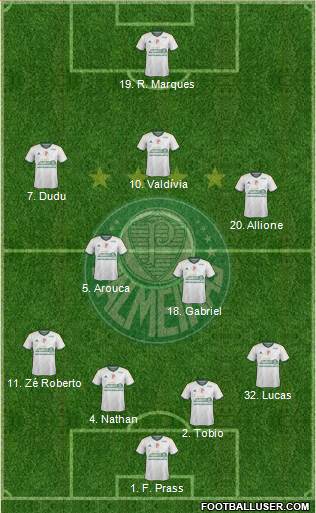 SE Palmeiras Formation 2015
