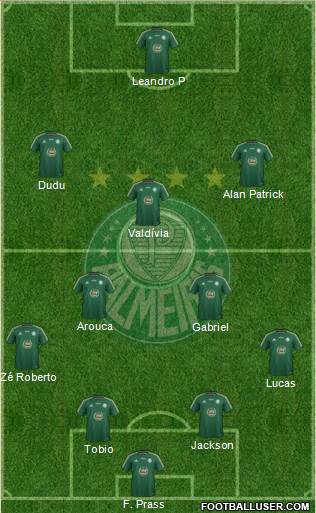 SE Palmeiras Formation 2015