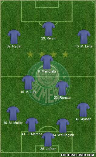 SE Palmeiras Formation 2015