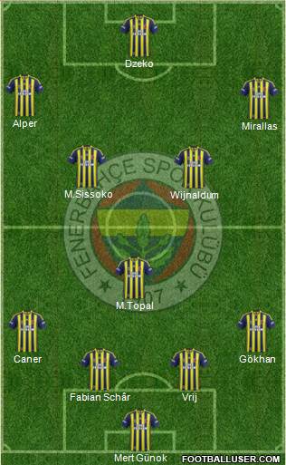 Fenerbahçe SK Formation 2015