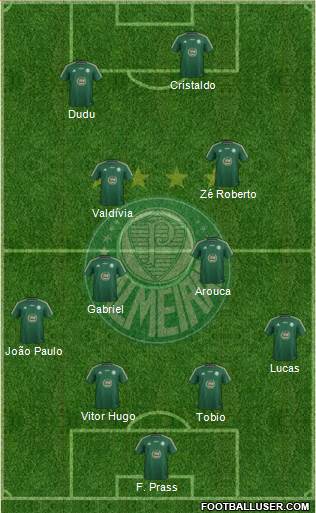 SE Palmeiras Formation 2015