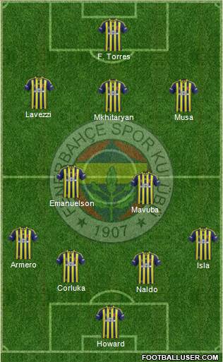 Fenerbahçe SK Formation 2015