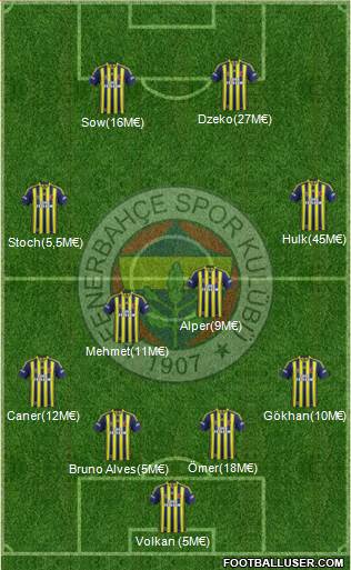 Fenerbahçe SK Formation 2015