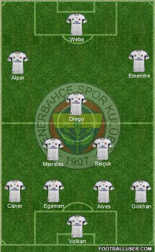 Fenerbahçe SK Formation 2015